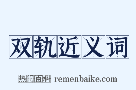 双轨近义词是什么意思的图片